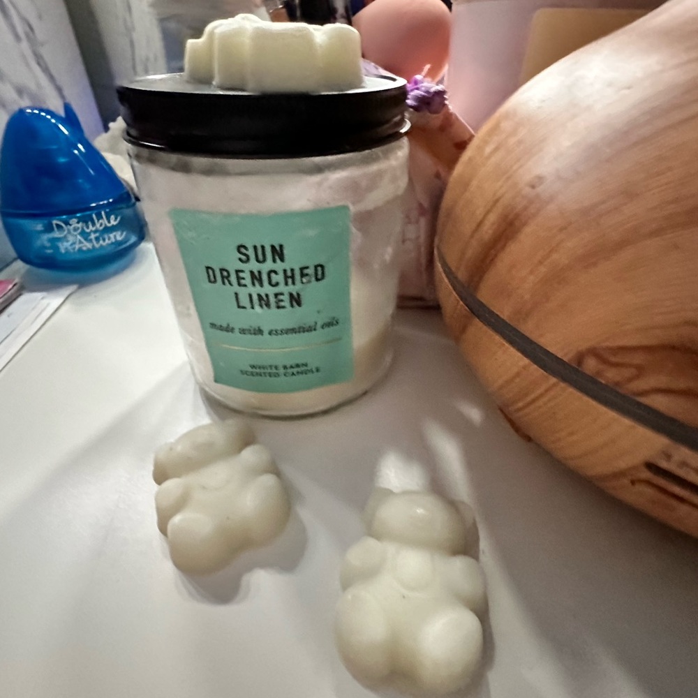 Wax melts 🐻
